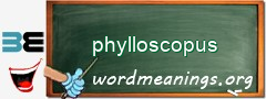 WordMeaning blackboard for phylloscopus